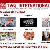 TWG INTERNATIONAL seotwg